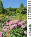 軽井沢レイクガーデンのバラ（軽井沢町） 127659438