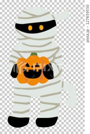 Cute mummy man illustration 127659550