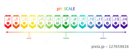 PH value Scale chart. Liquid level, litmus color change. Ph food analysis or chemical test. Vector illustration in flat style PH value Scale chart. Liquid level, litmus color change. Ph food analysis or chemical test. Vector illustration in flat style 127659816