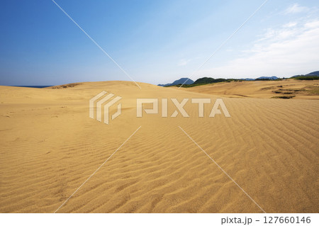 鳥取砂丘の美しい風景 127660146