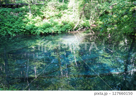 神の子池　北海道 127660150