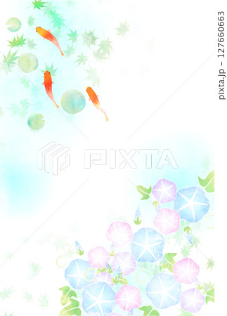 金魚　夏　あさがお　和柄　背景 127660663