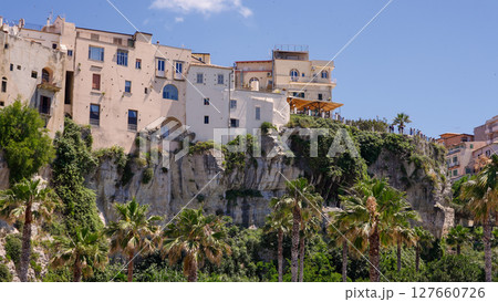 Tropea buildings standing on a cliff overlooking palm trees and vegetation 127660726