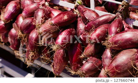 Red onions hanging in bunches at Tropea market, Calabria, Italy 127660744