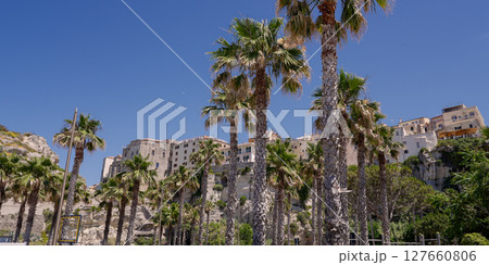 Palm trees rising towards the ancient village of Tropea, Calabria, Italy Palm trees rising towards the ancient village of Tropea, Calabria, Italy 127660806