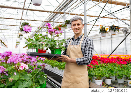 A smiling man in a greenhouse holds a tray of potted flowers, surrounded by blooming plants. 127661032