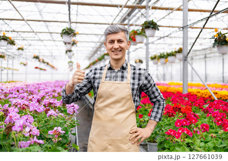 A smiling florist in a greenhouse gives a thumbs up, surrounded by vibrant flowers and plants, representing success. A smiling florist in a greenhouse gives a thumbs up, surrounded by vibrant flowers and plants, representing success. 127661039
