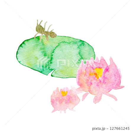 水彩イラスト　手描きイラスト　ハスの花と生き物 127661245