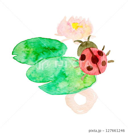 水彩イラスト 手描きイラスト ハスの花と生き物 水彩イラスト 手描きイラスト ハスの花と生き物 127661246