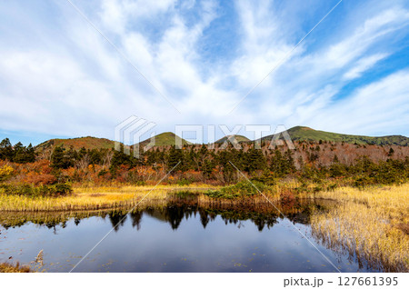 【青森県八甲田山】紅葉に映える睡蓮沼と北八甲田連峰。八甲田は日本有数の紅葉スポットと言われる。 【青森県八甲田山】紅葉に映える睡蓮沼と北八甲田連峰。八甲田は日本有数の紅葉スポットと言われる。 127661395