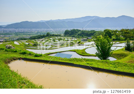 姨捨の棚田と善光寺平【千曲市】 127661459
