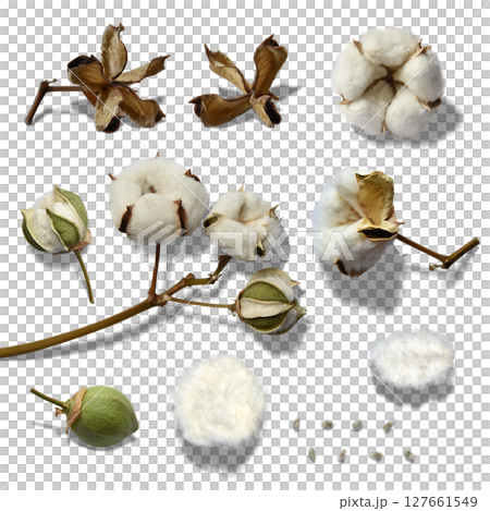 蓬鬆棉和有機棉鏤空部分帶有陰影 蓬鬆棉和有機棉鏤空部分帶有陰影 127661549