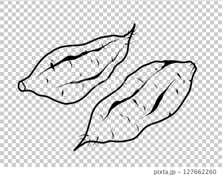 地瓜圖標 127662260