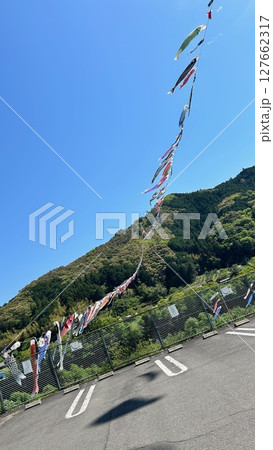 鯉のぼりの川渡し 127662317