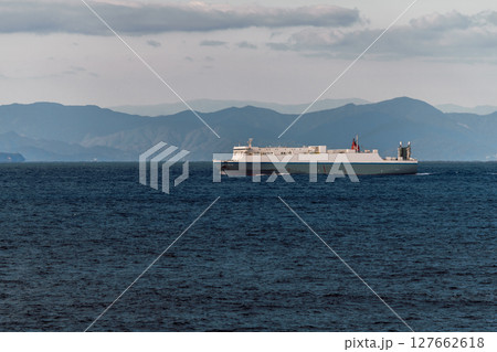 【東京九州フェリーはまゆう新門司行　土佐清水沖を航行　RORO船】 127662618