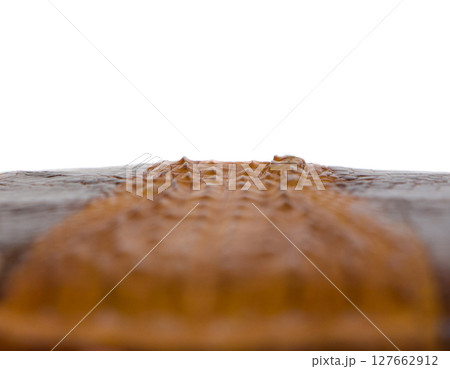 Men's crocodile folding wallet. 127662912