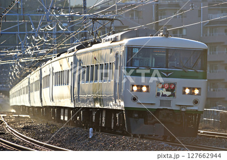 東海道本線　真鶴　JR東日本　185系　C1＋A1編成（大宮）　踊り子 127662944