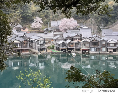 海蔵寺の桜 海蔵寺の桜 127663428