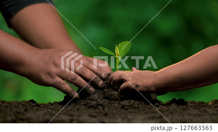 Planting trees, loving the environment and protecting nature Nourishing the plants World Environment Day To help the world look beautiful 127663563
