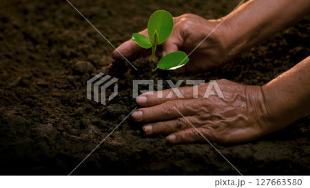 Planting trees, loving the environment and protecting nature Nourishing the plants World Environment Day To help the world look beautiful Planting trees, loving the environment and protecting nature Nourishing the plants World Environment Day To help the world look beautiful 127663580