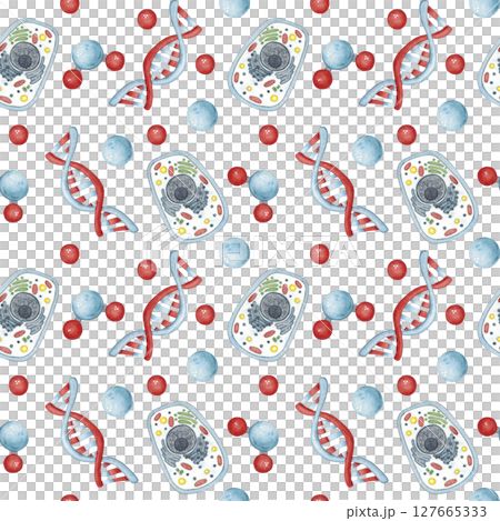 Seamless pattern with DNA molecules and cells. Watercolor hand drawn illustration, cartoon. Drawing for sticker, poster. science, school, laboratory, biology, chemistry, research, back to school Seamless pattern with DNA molecules and cells. Watercolor hand drawn illustration, cartoon. Drawing for sticker, poster. science, school, laboratory, biology, chemistry, research, back to school 127665333