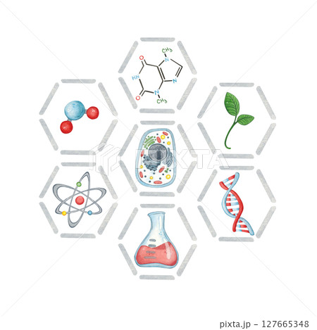 Blank for a postcard, hexagons with biological symbols inside. Watercolor illustration hand-drawn, cartoon. Drawing for a sticker, poster. science, school, laboratory, biology, chemistry, research 127665348