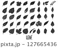 Leaf Doodle vector icon set. Drawing sketch illustration hand drawn line eps10 127665436