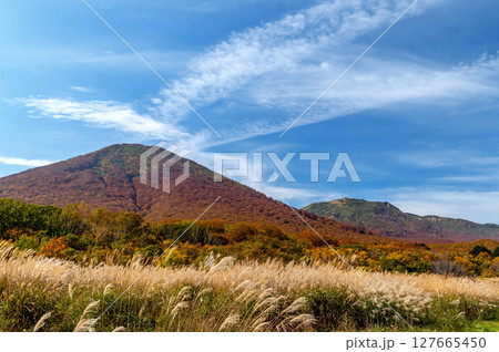 【青森県八甲田山】青森市田代平から紅葉の八甲田を望む 【青森県八甲田山】青森市田代平から紅葉の八甲田を望む 127665450