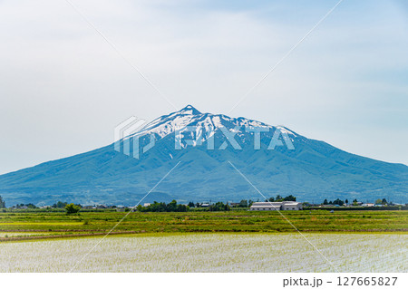 田植えが完了した田んぼと岩木山 田植えが完了した田んぼと岩木山 127665827
