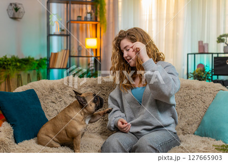 Pug cute dog looking with hope for treat while on home sofa, funny and adorable happy expression 127665903