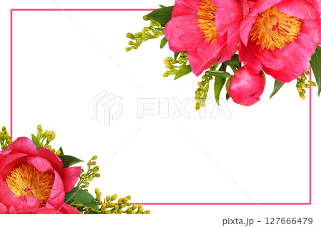 Coral peonies and yellow solidago flowers in a floral arrangement with frame isolated on white Coral peonies and yellow solidago flowers in a floral arrangement with frame isolated on white 127666479