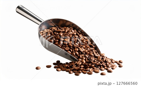 コーヒー豆 コーヒー豆 127666560