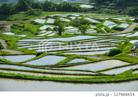【名勝】姨捨の棚田【千曲市】 【名勝】姨捨の棚田【千曲市】 127666654