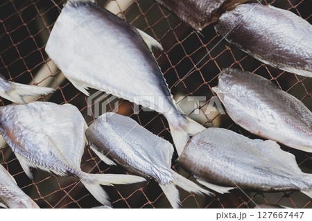 Drying fish in sunlight 127667447