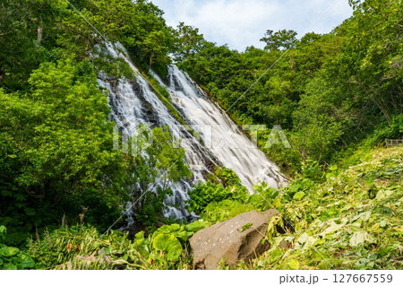 オシンコシンの滝 オシンコシンの滝 127667559