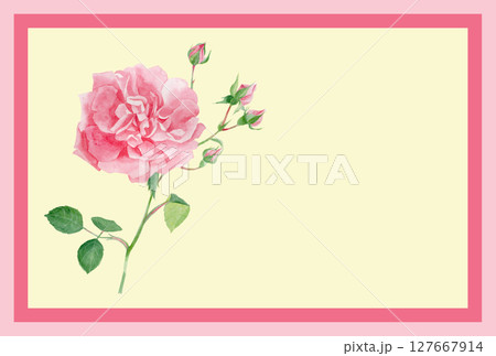 水彩絵の具で描いたピンク色の薔薇の花イラストレーションのメッセージカード 127667914
