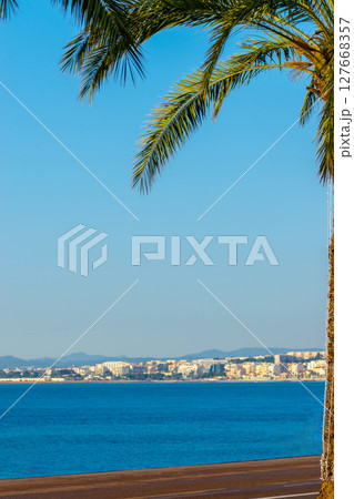 Nice city and palm tree during clear day Nice city and palm tree during clear day 127668357