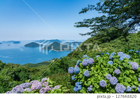 紫陽花咲く紫雲出山の景色 127668820