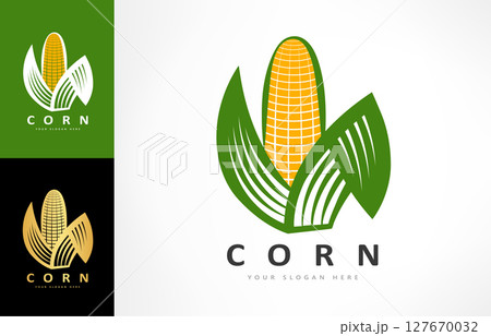 Ear of corn logo vector. Food design 127670032