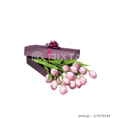 decorative flowers and plants for the interior, isolated on transparent background, 3D illustration, cg render decorative flowers and plants for the interior, isolated on transparent background, 3D illustration, cg render 127670349