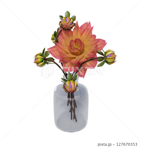 decorative flowers and plants for the interior, isolated on transparent background, 3D illustration, cg render 127670353