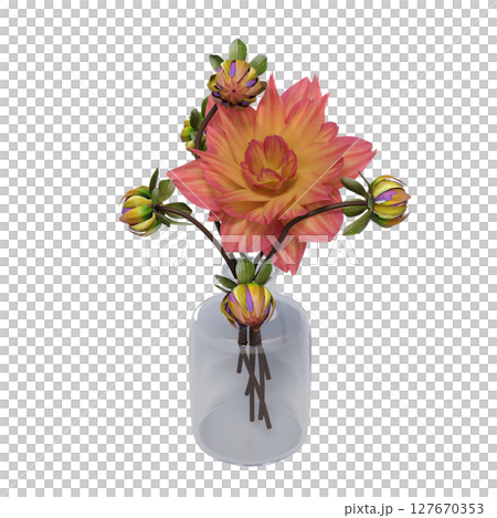 decorative flowers and plants for the interior, isolated on transparent background, 3D illustration, cg render 127670353