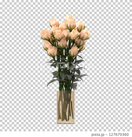 decorative flowers and plants for the interior, isolated on transparent background, 3D illustration, cg render decorative flowers and plants for the interior, isolated on transparent background, 3D illustration, cg render 127670360