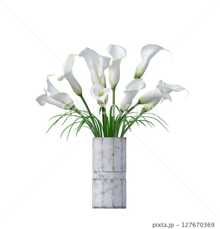 decorative flowers and plants for the interior, isolated on transparent background, 3D illustration, cg render decorative flowers and plants for the interior, isolated on transparent background, 3D illustration, cg render 127670369