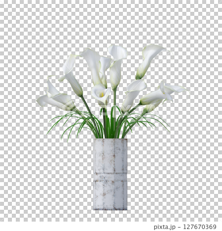 decorative flowers and plants for the interior, isolated on transparent background, 3D illustration, cg render decorative flowers and plants for the interior, isolated on transparent background, 3D illustration, cg render 127670369