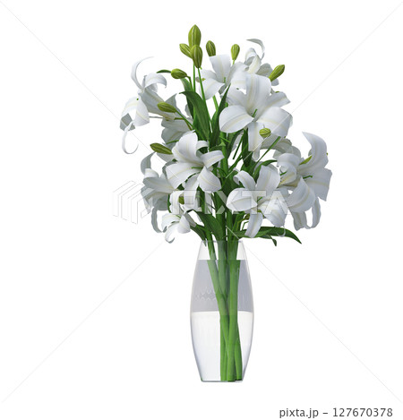 decorative flowers and plants for the interior, isolated on transparent background, 3D illustration, cg render decorative flowers and plants for the interior, isolated on transparent background, 3D illustration, cg render 127670378