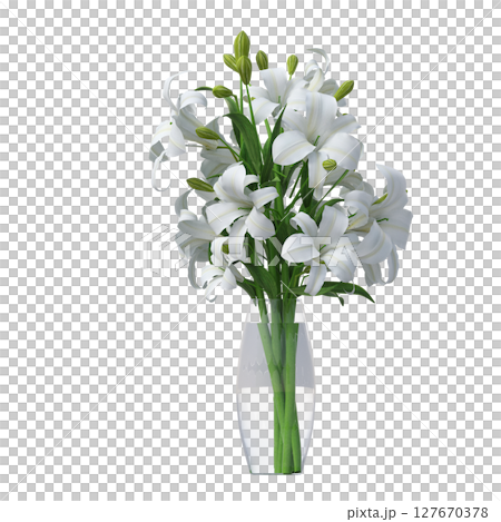 decorative flowers and plants for the interior, isolated on transparent background, 3D illustration, cg render 127670378