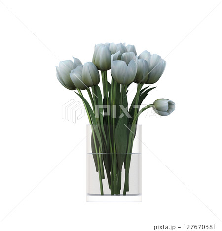 decorative flowers and plants for the interior, isolated on transparent background, 3D illustration, cg render 127670381