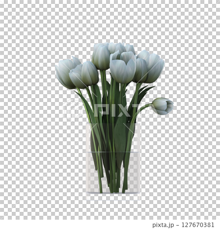 decorative flowers and plants for the interior, isolated on transparent background, 3D illustration, cg render 127670381
