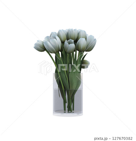 decorative flowers and plants for the interior, isolated on transparent background, 3D illustration, cg render decorative flowers and plants for the interior, isolated on transparent background, 3D illustration, cg render 127670382